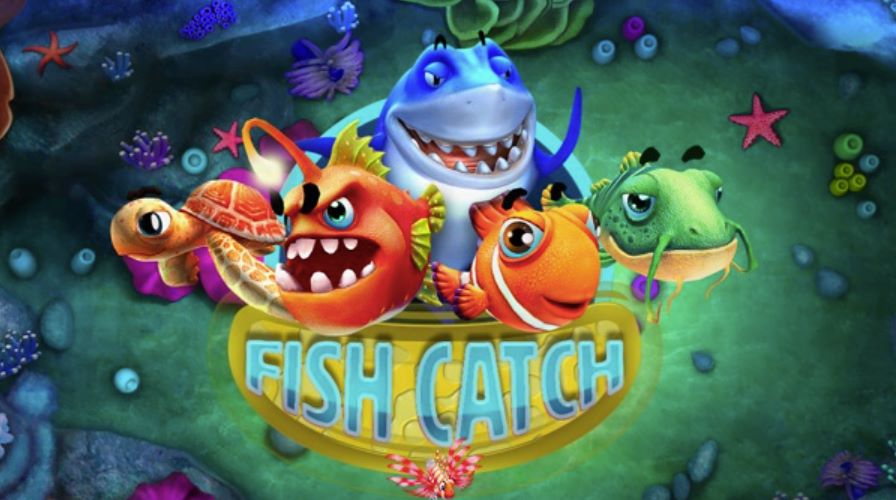 Guide To The Fish Catch: How To Play The Game?