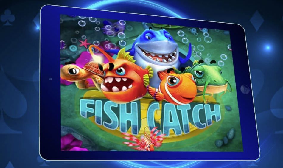 fish catch game